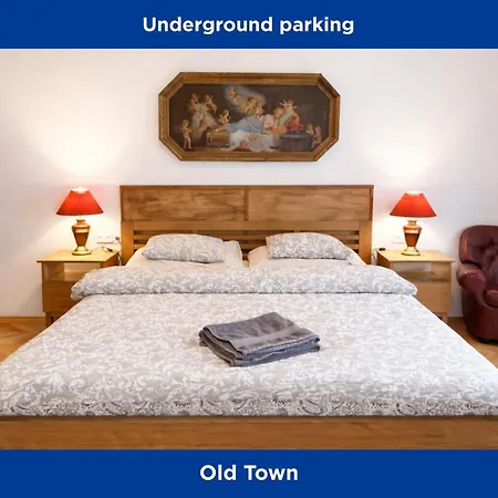 Quiet Old Town And Parking Assistance Prag